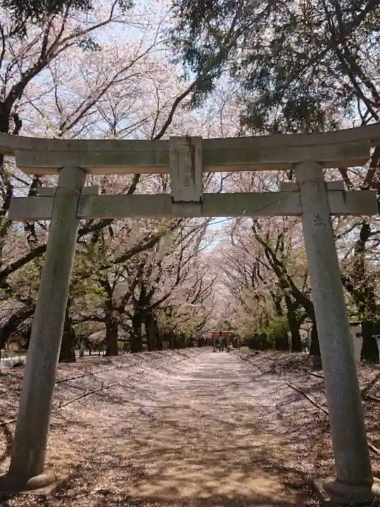 東蕗田天満社の鳥居
