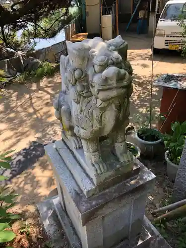 湊三嶋大明神社の狛犬