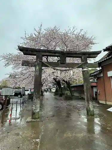 前玉神社(埼玉県)