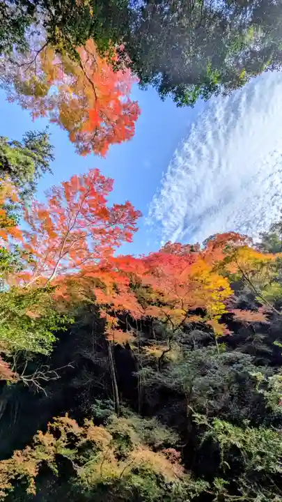 勝尾寺(大阪府)