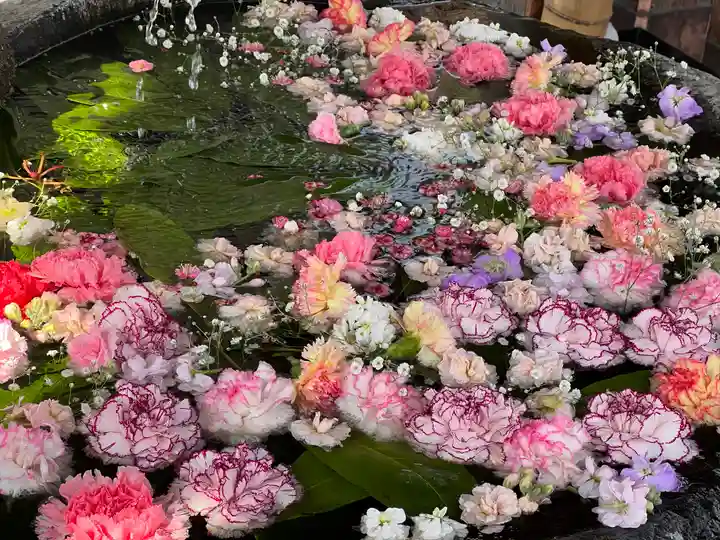 出雲大社相模分祠の自然