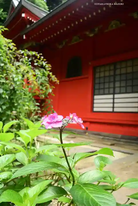 江島神社の自然
