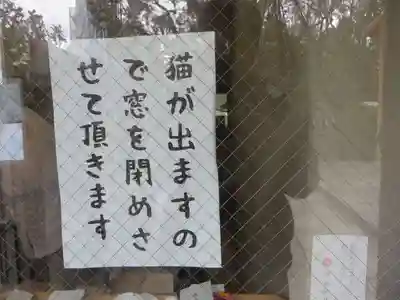 堀越神社(大阪府)