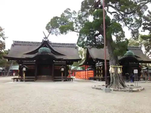 住吉大社の本殿