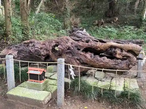 泉神社(茨城県)