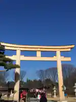 長野縣護國神社の鳥居