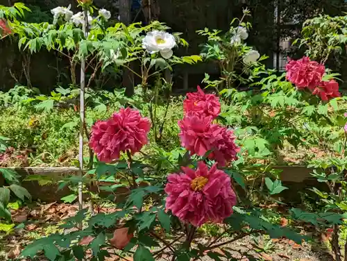 乙訓寺(京都府)