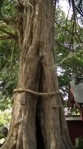 善養寺（善養密寺）の自然