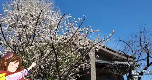 普賢寺(東京都)