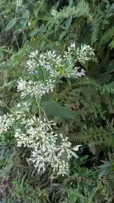 江文神社(京都府)