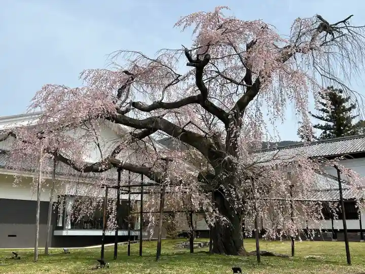 醍醐寺(京都府)