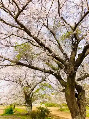 鹿嶋神社(茨城県)