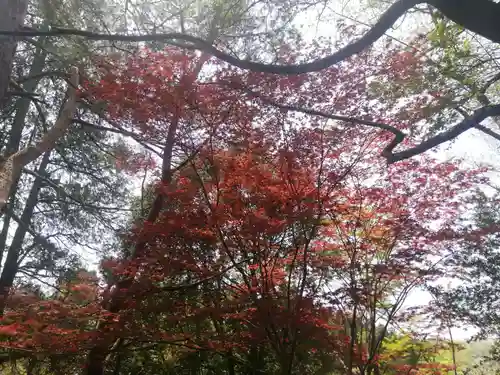 八幡神社(福島県)