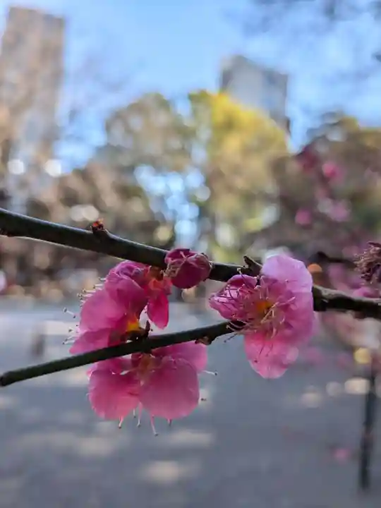 乃木神社(東京都)