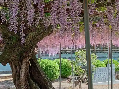 童学寺(徳島県)