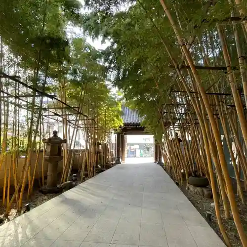 梅窓院の山門・神門