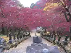 大山寺(神奈川県)