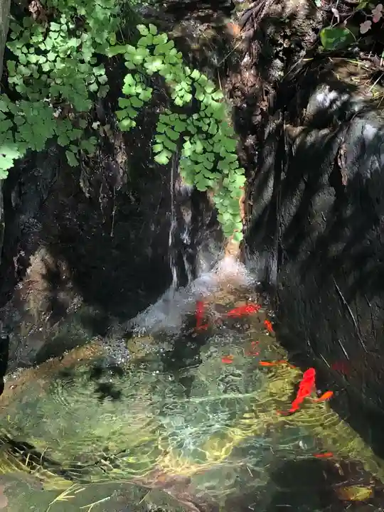 馬橋稲荷神社の動物
