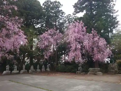 南光寺(笠懸不動尊)の自然
