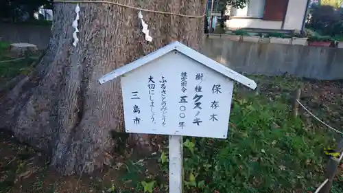 神明宮（御園）の自然