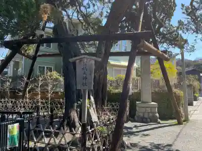 荏柄天神社の{uncategorized: "未分類", other: "その他", undefined: "問題あり", building: "その他建物", grave: "お墓", sacred_gate: "鳥居", guardian: "狛犬", statue: "像", buddha: "仏像", history: "歴史", nature: "自然", garden: "庭園", animal: "動物", pagoda: "塔", temizu: "手水舎", mountain_gate: "山門・神門", sanctuary: "本殿・本堂", subordinate: "末社・摂社", art: "芸術", scenery: "景色", jizo: "地蔵", ema: "絵馬", goshuin: "御朱印", omikuji: "おみくじ", items: "授与品その他", amulet: "お守り", goshuincho: "御朱印帳", eats: "食事", festival: "お祭り", votive_dance: "神楽", shichigosan: "七五三参", wedding: "結婚式", experience: "体験その他", initially: "初詣", around: "周辺", anti_infection: "感染症対策"}