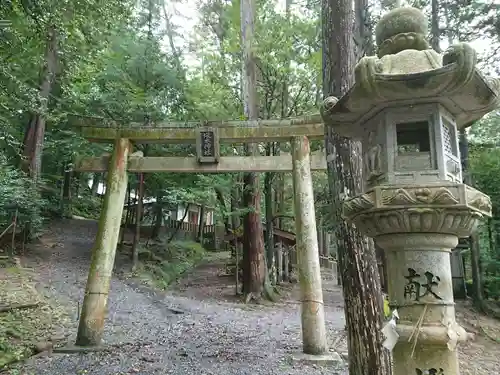 諏訪神社の鳥居