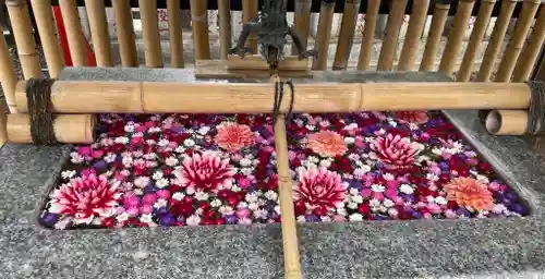 高円寺氷川神社の手水舎