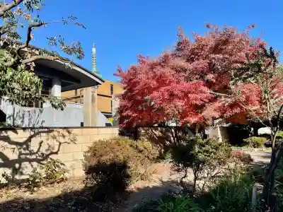 木母寺(東京都)