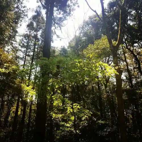 鹿島神宮の自然