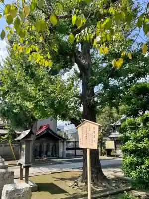 泉沢寺(神奈川県)