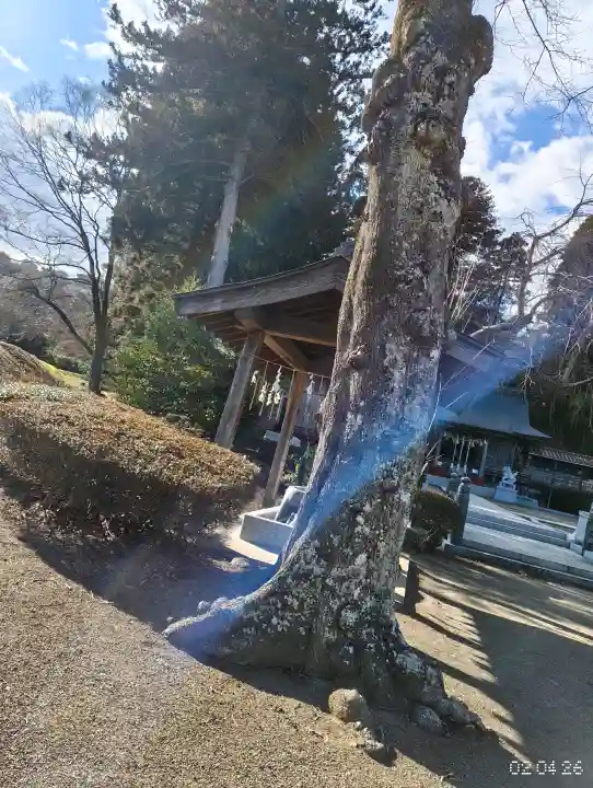 熊野本宮社の{uncategorized: "未分類", other: "その他", undefined: "問題あり", building: "その他建物", grave: "お墓", sacred_gate: "鳥居", guardian: "狛犬", statue: "像", buddha: "仏像", history: "歴史", nature: "自然", garden: "庭園", animal: "動物", pagoda: "塔", temizu: "手水舎", mountain_gate: "山門・神門", sanctuary: "本殿・本堂", subordinate: "末社・摂社", art: "芸術", scenery: "景色", jizo: "地蔵", ema: "絵馬", goshuin: "御朱印", omikuji: "おみくじ", items: "授与品その他", amulet: "お守り", goshuincho: "御朱印帳", eats: "食事", festival: "お祭り", votive_dance: "神楽", shichigosan: "七五三参", wedding: "結婚式", experience: "体験その他", initially: "初詣", around: "周辺", anti_infection: "感染症対策"}