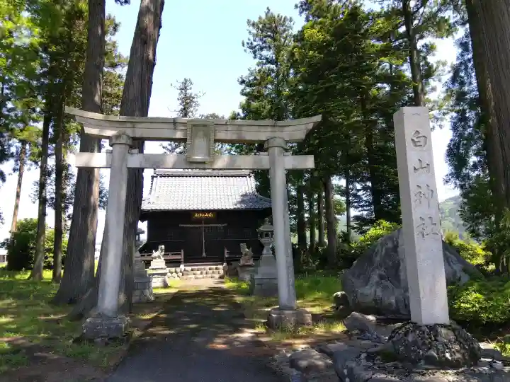 白山神社の{uncategorized: "未分類", other: "その他", undefined: "問題あり", building: "その他建物", grave: "お墓", sacred_gate: "鳥居", guardian: "狛犬", statue: "像", buddha: "仏像", history: "歴史", nature: "自然", garden: "庭園", animal: "動物", pagoda: "塔", temizu: "手水舎", mountain_gate: "山門・神門", sanctuary: "本殿・本堂", subordinate: "末社・摂社", art: "芸術", scenery: "景色", jizo: "地蔵", ema: "絵馬", goshuin: "御朱印", omikuji: "おみくじ", items: "授与品その他", amulet: "お守り", goshuincho: "御朱印帳", eats: "食事", festival: "お祭り", votive_dance: "神楽", shichigosan: "七五三参", wedding: "結婚式", experience: "体験その他", initially: "初詣", around: "周辺", anti_infection: "感染症対策"}