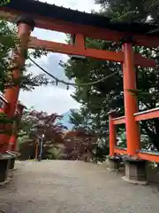 新倉富士浅間神社(山梨県)