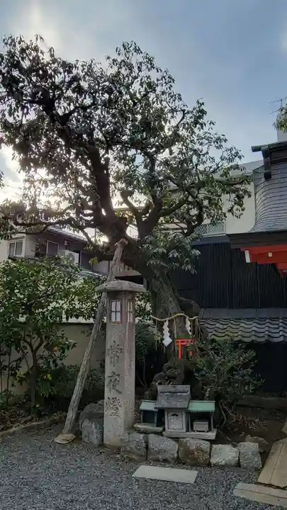 大将軍八神社(京都府)