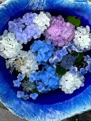 川越八幡宮(埼玉県)