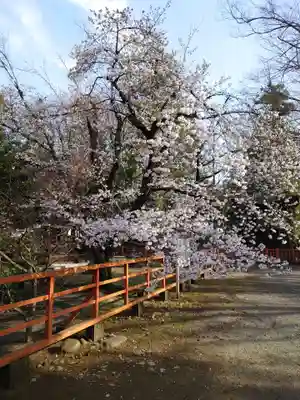 大井俣窪八幡神社(山梨県)