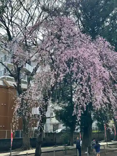 神明大神宮(神奈川県)
