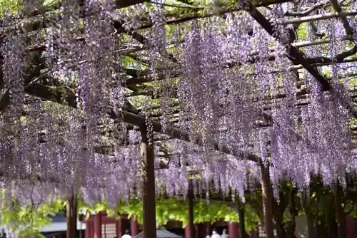 笠間稲荷神社の庭園