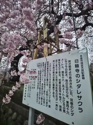 日輪寺(福島県)