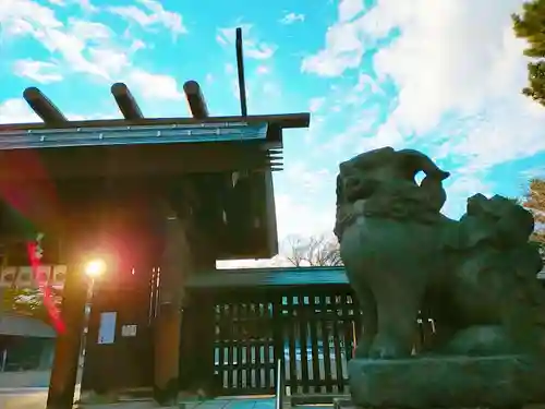 札幌護國神社の狛犬