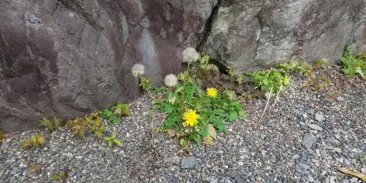 出雲大神宮の自然