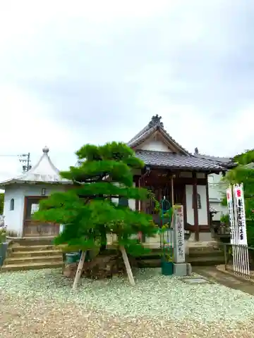 智照院の本殿・本堂