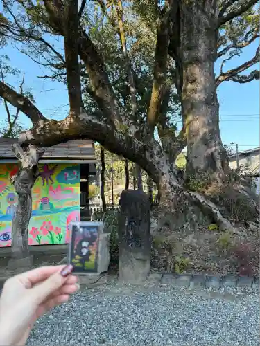 青井阿蘇神社(熊本県)