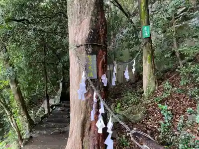 岩屋神社(高知県)