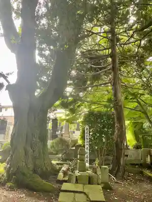 光明寺(宮城県)