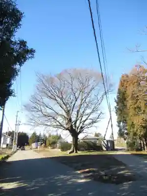 伏木香取神社(茨城県)