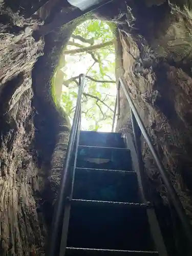 熊野那智大社(和歌山県)