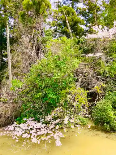 真城院(千葉県)