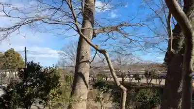 花の尾曳弁財天（尾曳稲荷神社）の景色