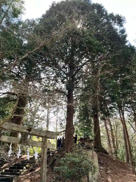 北口本宮冨士浅間神社(山梨県)